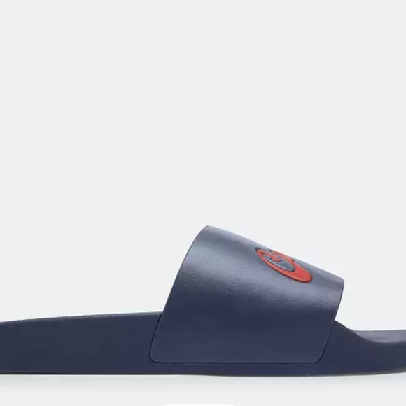 Coach slides - Picture 3 of 4